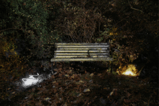 Humour - Fun GIF Artistes Lucea Spinelli 