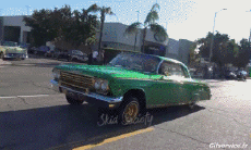 Humor -  Fun Transport Autos Lowriding 