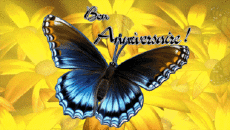 Messagi Francese Bon Anniversaire Papillons Sfondo animato 001 