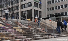 Humor -  Fun Sports Roller Skate Fun - Win 