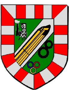 Bandiere Francia Dipartimenti - Città 71 MONTCHANIN 