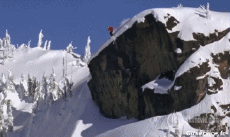 Humor -  Fun Sport Ski Free Ride Fun Win 