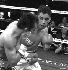 Humour - Fun Sports Boxe Gamelle Fail 