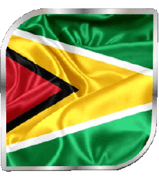 Flags America Guyana Square 