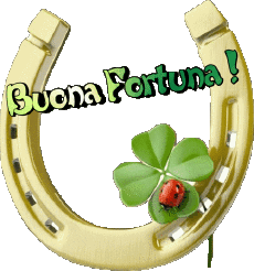 Messages Italian Buona Fortuna Transparent Background 08 