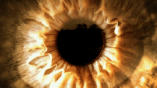 Multimedia Canali - TV Francia Ushuaïa TV Jingle Pub 