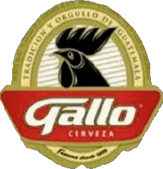 Getränke Bier Guatemala Gallo 