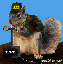 Humour - Fun Animaux Ecureuils Serie 01 