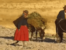 Multi Média Chaines -  TV France Voyage Jingle Pub 