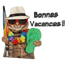 Mensajes Francés Bonnes Vacances 30 