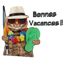 Messages French Bonnes Vacances Transparent Background 30 