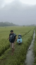 Humor -  Fun Transport Scooter Fun Accident - Fail 