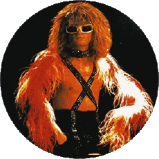 Multi Média Musique France Michel Polnareff 