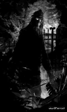 Humor -  Fun 3d Effects Stéreoscopique Wiggle 