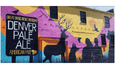 Bevande Birre USA Great Divide 