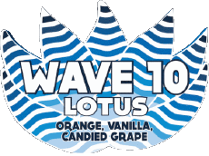 Wave 10-Boissons Bières USA Adirondack Wave 10