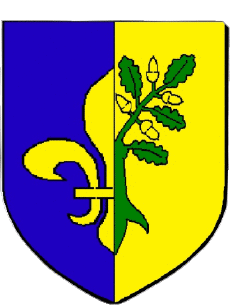 Blasone-Bandiere Francia Dipartimenti - Città 78 MANTES LA JOLIE Blasone