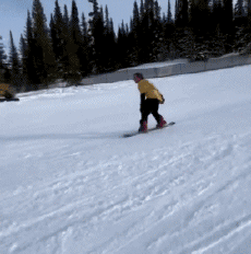 Humor -  Fun Sports SnowBoard Free Style Fun Win 