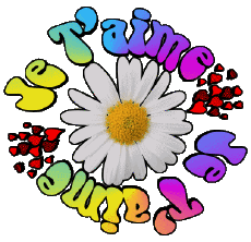 Messages Français Je T'aime 05 