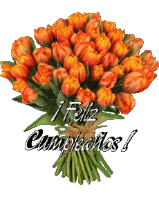 Messages Spanish Feliz Cumpleaños Floral Transparent Background 012 