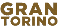 Multimedia V International Gran Torino Logo 