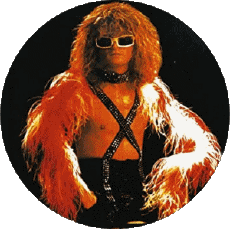 Multimedia Musik Frankreich Michel Polnareff 