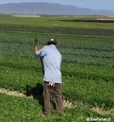 Humor - Fun GENTE En el trabajo Fail 