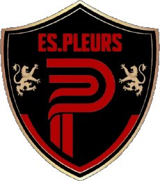 Sports Soccer Club France Grand Est 51 - Marne Ent. S de Pleurs 