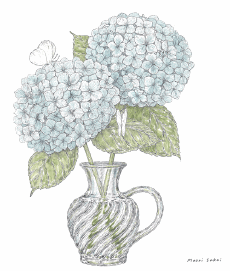 Umorismo -  Fun GIF Artista Maori-Sakai 