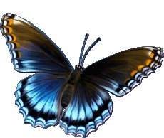 Mensajes Inglés Happy Birthday Butterflies Fondo transparente 006 