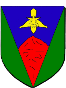 Blazon-Flags France Departments - Cities 974 LE TAMPON Blazon