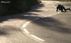 Humour - Fun Sports Roller Skate Fun - Win 