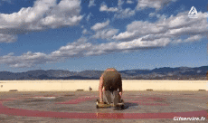 Humor -  Fun MENSCHEN Hoverboard Fun Win 