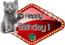 Nachrichten Englisch Happy Birthday Animals 004 
