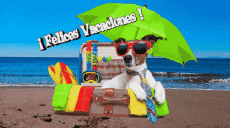 Messagi Spagnolo Felices Vacaciones Sfondo animato 003 