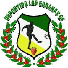 Sports Soccer Club America Nicaragua CD Las Sabanas 