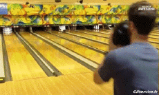 Humor -  Fun Sports Bowling Fun Win 