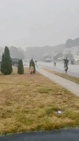 Umorismo -  Fun Luoghi Fulmine 