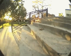 Humor - Fun Deportes Skateboard Free Style Fun - Win 03 