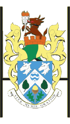 Sportivo Rugby - Club Mondo - Logo Inghilterra H Haslemere RFC 