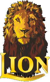 Boissons Bières Sri Lanka Lion Ceylon 