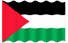 Banderas Asia Palestina Ondulación 