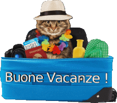 Nachrichten Italienisch Buone Vacanze Transparenter Hintergrund 12 