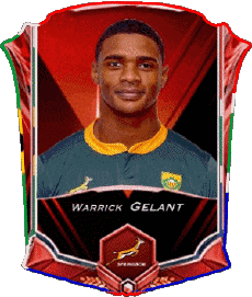 Sports Rugby - Players South Africa Warrick Gelant 