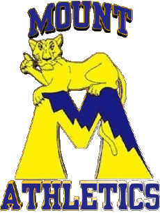Sportivo N C A A - D1 (National Collegiate Athletic Association) M Mount St. Marys Mountaineers 