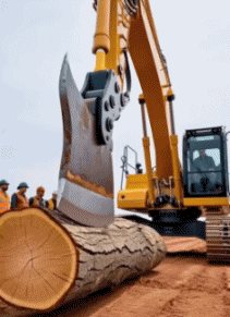 Humor - Fun Transporte Maquinaria de construcción Fun Win 