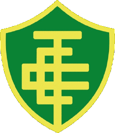 Sportivo Calcio Club America Logo Brasile Espírito Santo Esporte Clube Tupy 