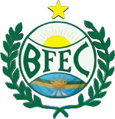 Sportivo Calcio Club America Logo Brasile Distrito Federal Bosque Formosa EC 