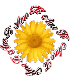 Messages Italien Ti Amo 02 