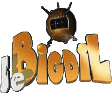 Multimedia Programa de TV Le Bigdil 